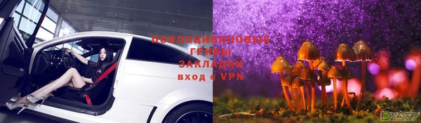 прущие крисы Аркадак