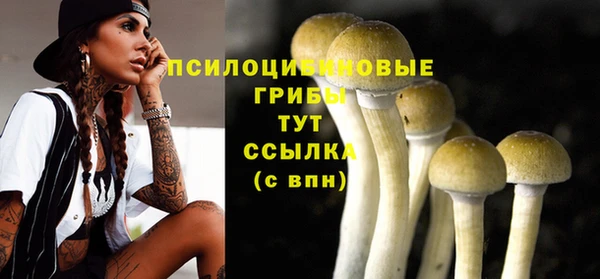 каннабис Арсеньев
