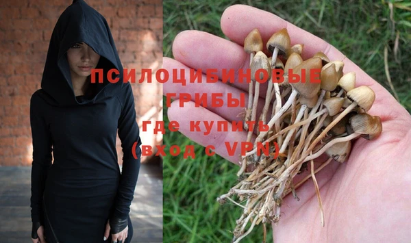 прущие крисы Аркадак
