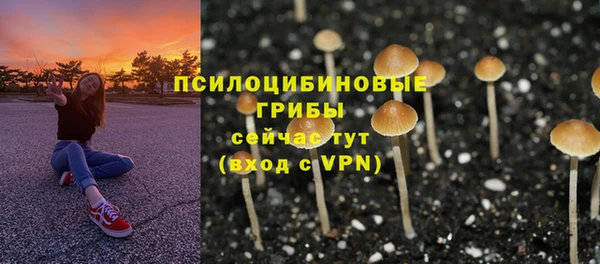 прущие крисы Аркадак