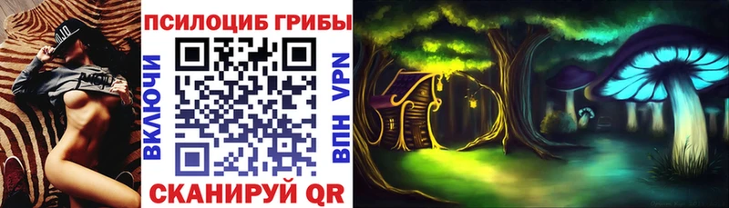 Галлюциногенные грибы ЛСД  купить закладку  Рудня 